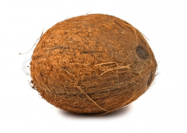 Coconut (Single)