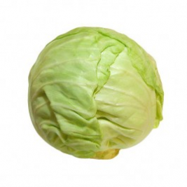 White Cabbage (Single)
